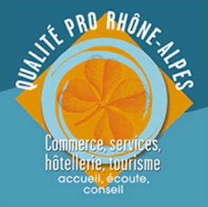 qualite-pro-rhone-alpes-hesilma-cabinet-conseil-audit-formation-hotellerie-restauration-tourisme-services-activites-loisir-faisabilite